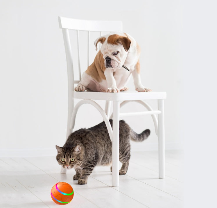Smart Self-Rotating Pet Toy Ball – USB Interactive Automatic Ball for Cats & Dogs